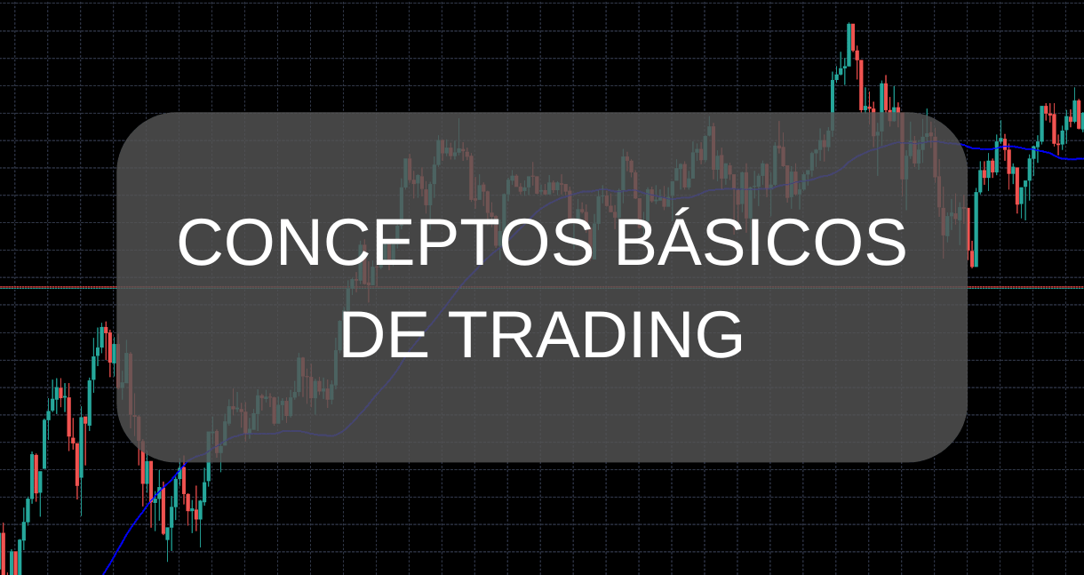 Conceptos Básicos